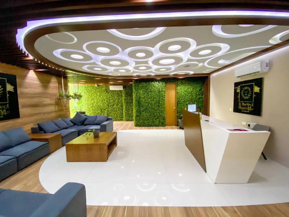 Excellent Location Studio With Roof Gym Beach At 300M Плая-дель-Кармен Апартаменты